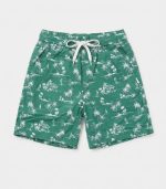 Ensemble 2 Pièces Tropical – Chemise & Short Vert – Image 5
